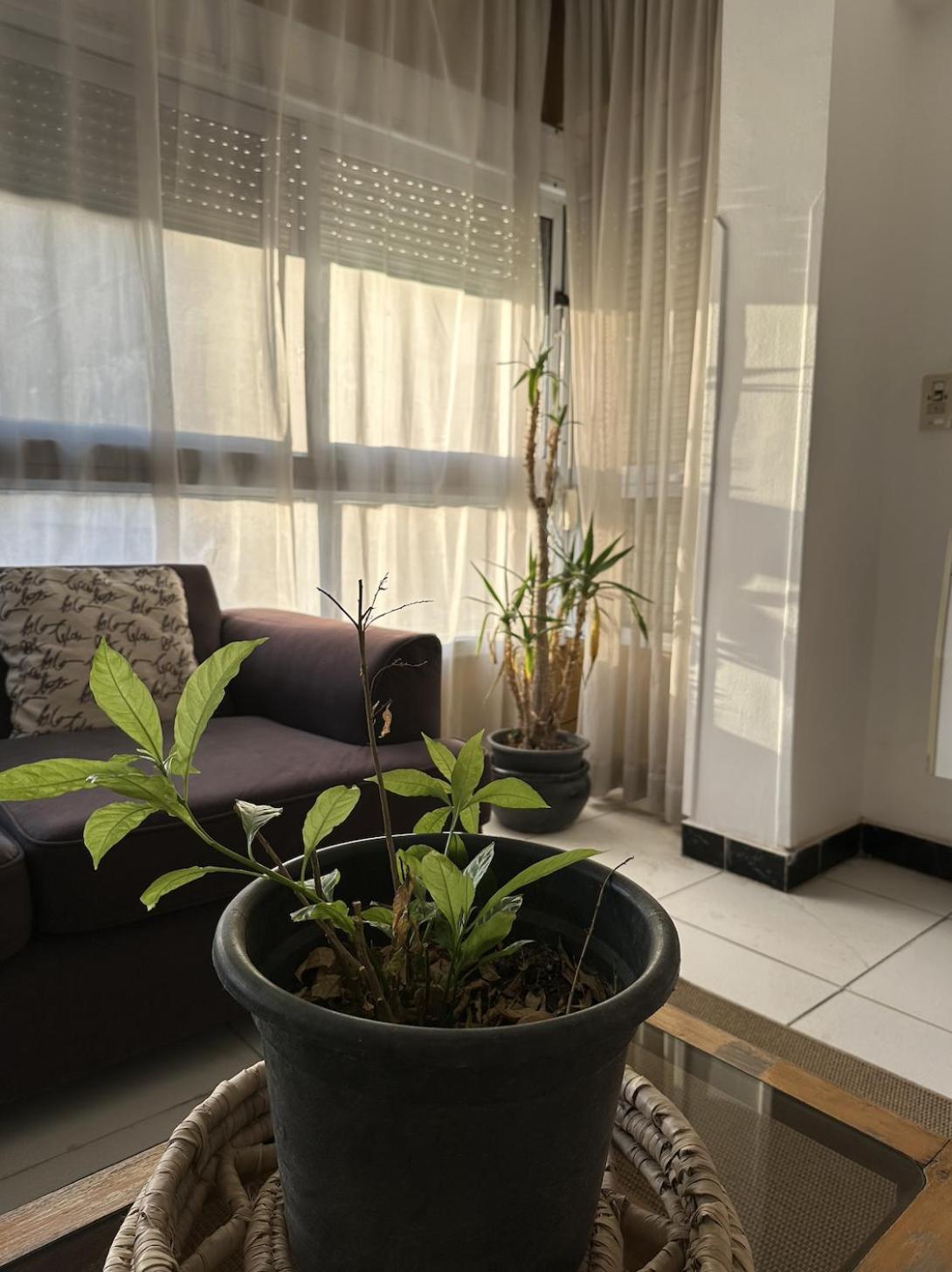 Accommodatie bij particulieren A Touch Of The Orient , Elegant In Maadi *
